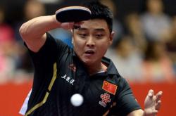 开云官网-瑞典队完胜德国队，王皓高光表现的简单介绍