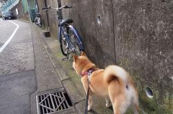 开云下载-萨拉赫式爆发，土耳其的火力压制如何重塑东地中海战略格局