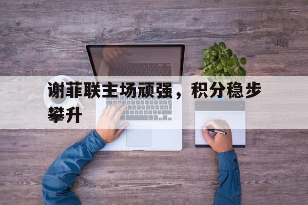 关于谢菲联主场顽强，积分稳步攀升的信息