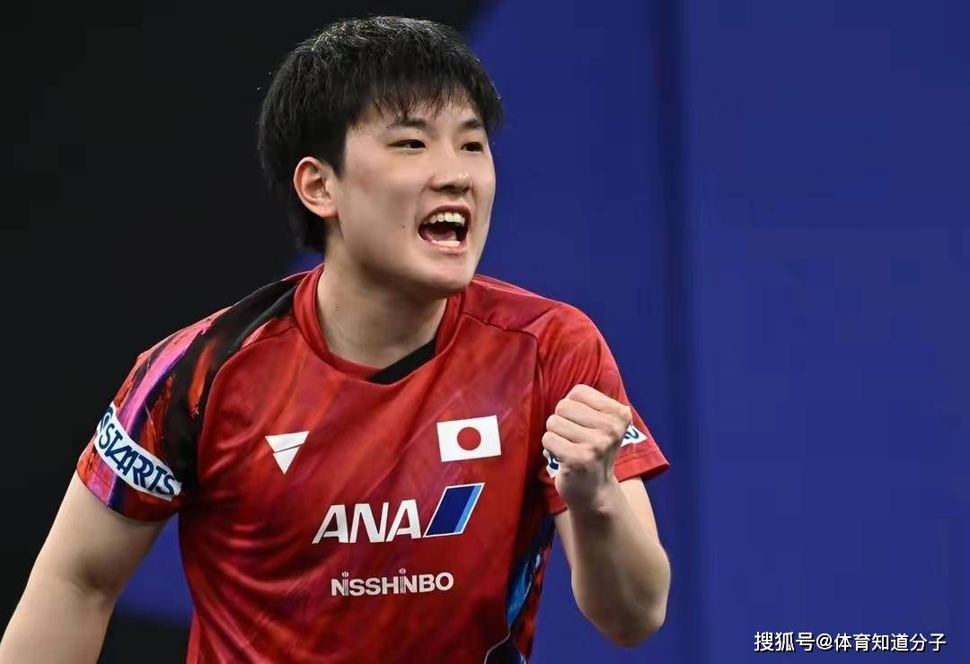 关于奥地利队轻取葡萄牙队,张本智和惊艳四座的信息 关于奥地利队轻取葡萄牙队,张本智和惊艳四座的信息