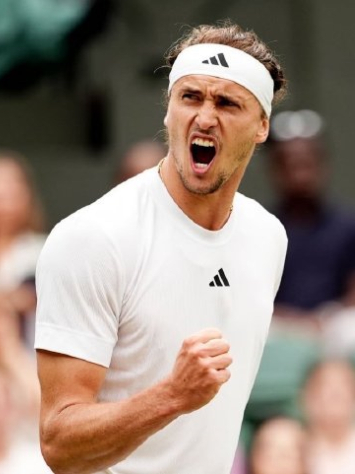 美国网球队绝杀法国网球队，兹维列夫绝境逆转的简单介绍