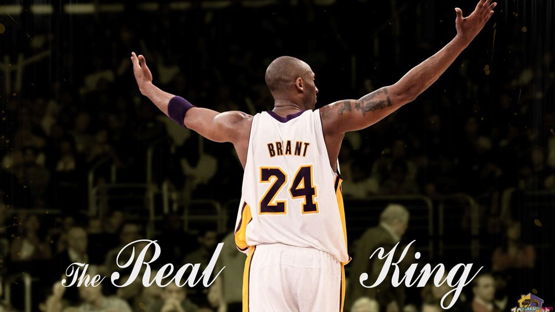 猛龙单节制胜，西亚卡姆的王者时刻